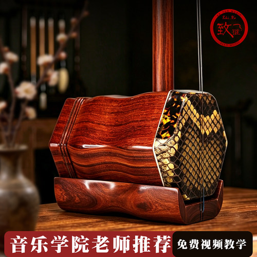 苏州二胡乐器初学者红木旗舰店正品专业考级演奏考级厂家直销