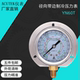 YN60T 0.1 径向带边耐震制冷压力表 3.8MPA 氟利昂 冷媒表