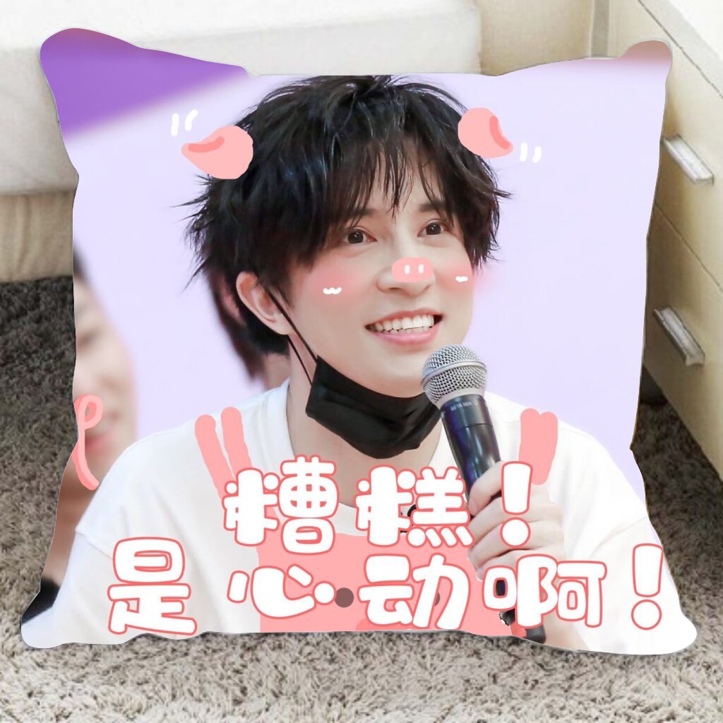薛之谦抱定制diy双面靠垫枕头