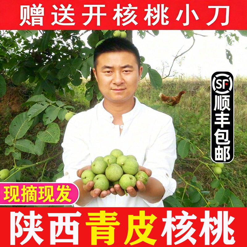 现货青皮核桃2026年带绿皮新鲜核桃嫩核桃陕西湿核桃5斤顺丰包邮
