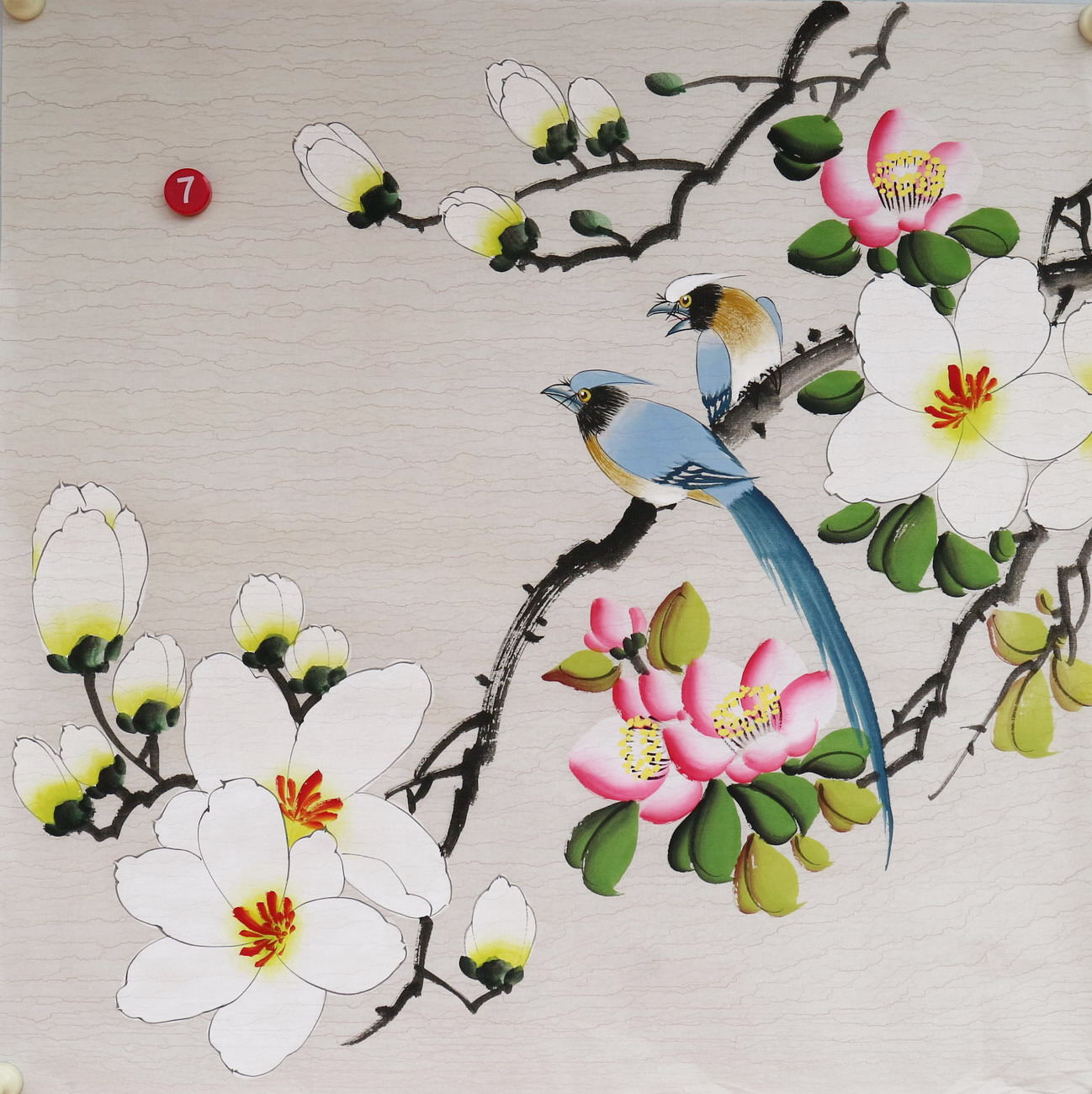 楼一阁书画无款三尺斗方小写意玉兰花鸟国画装饰字画特价RD561907