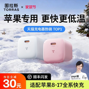 图拉斯小冰块Lite适用苹果充电器充电头iPhone17ProMax充电线16手机15快充14一套13数据typec12插头40套装 45W