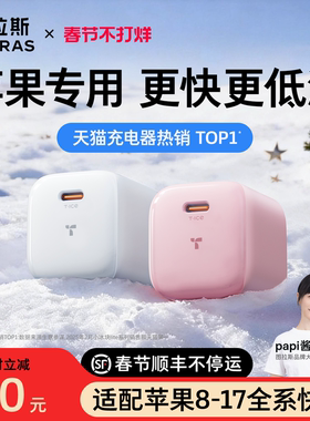 【苹果专用】图拉斯小冰块Lite适用苹果充电器充电头iPhone17ProMax快充40/45W手机16数据线13插头15typec14