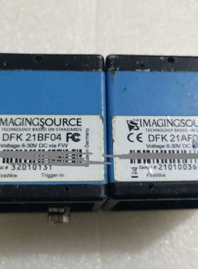 IMAGNGSOURCE映美精 DFK 21BF04 彩色
