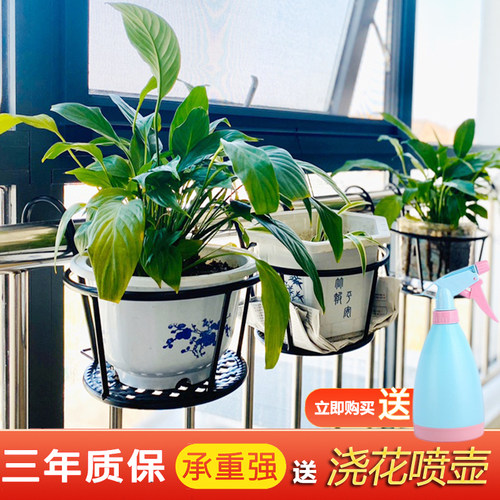 栏杆花架悬挂铁艺窗台阳台花盆架