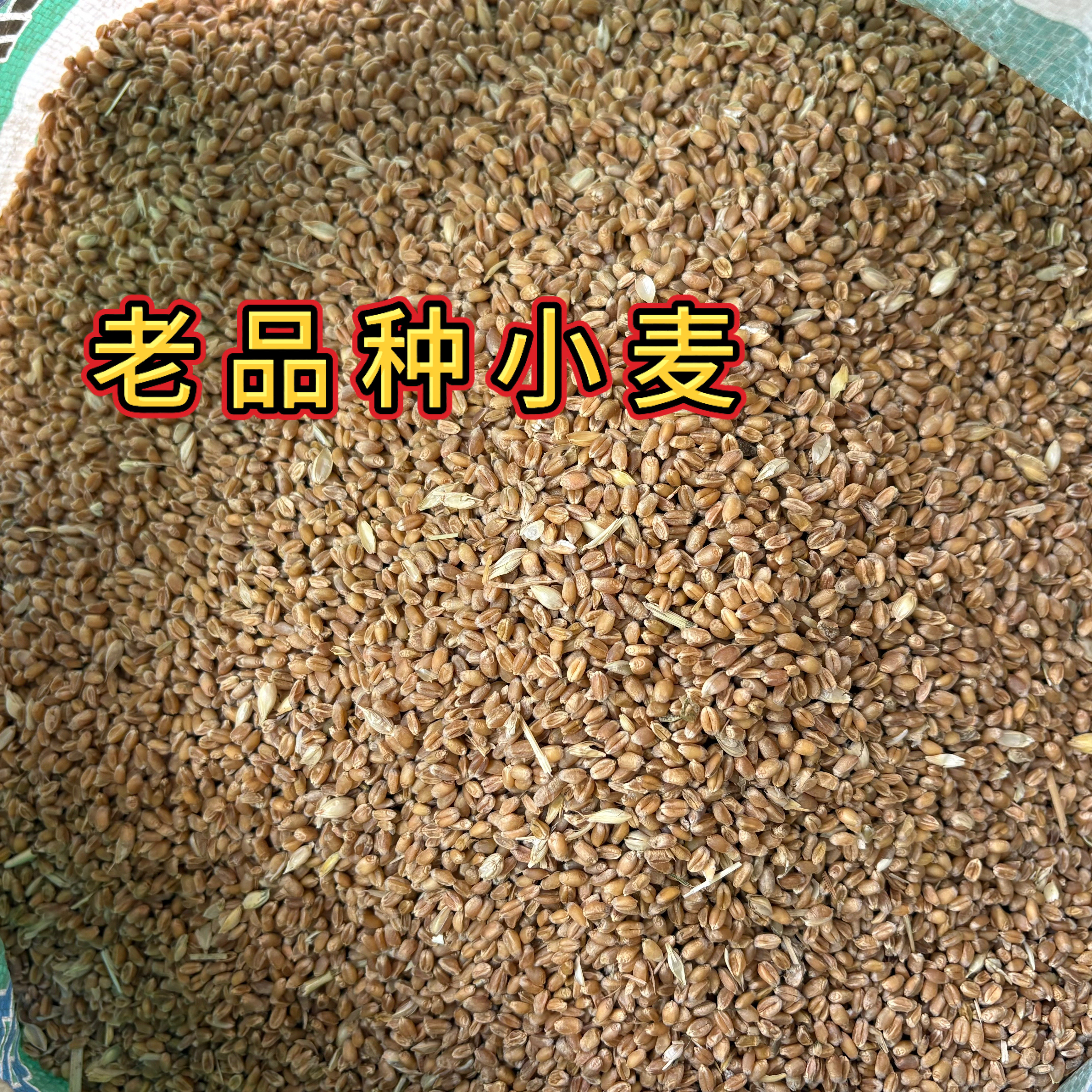 2026年新小麦优质带皮老品种特色米/面粉/杂粮