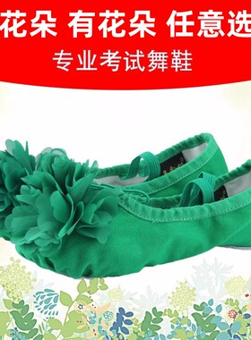 绿色花朵芭蕾舞鞋肚皮舞鞋舞蹈鞋女软底练功鞋瑜伽鞋体操鞋猫爪鞋