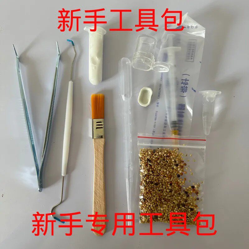 小莫蚁馆 宠物蚂蚁新手套餐工具 防逃液刷子喂水喂食器镊子食物