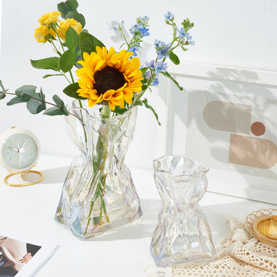ins风轻奢高级感玻璃褶皱花瓶客厅创意简约透明水培插花摆件北欧