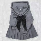 日系正统jk制服灰色二本水手服学生服学院风春秋长短袖 百褶裙套装