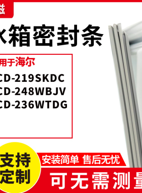 适用海尔BCD-219SKDC 248WBJV 236WTDG 冰箱门封条磁密封条胶圈皮