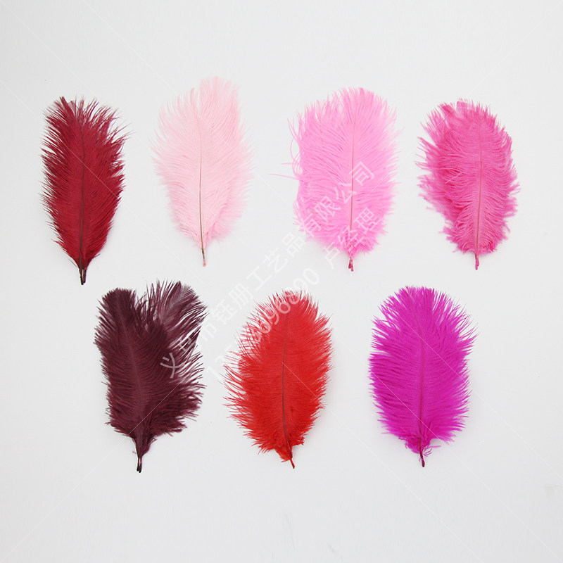 15cm网红墙配件羽毛彩色鸵鸟毛饰品道具装饰拍照装饰墙面捕梦网