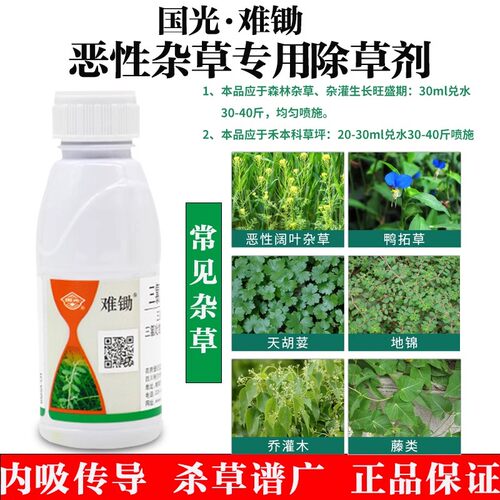 国光难锄 台湾2号马尼拉混播禾本科草坪除天胡荽地锦恶性阔叶杂草