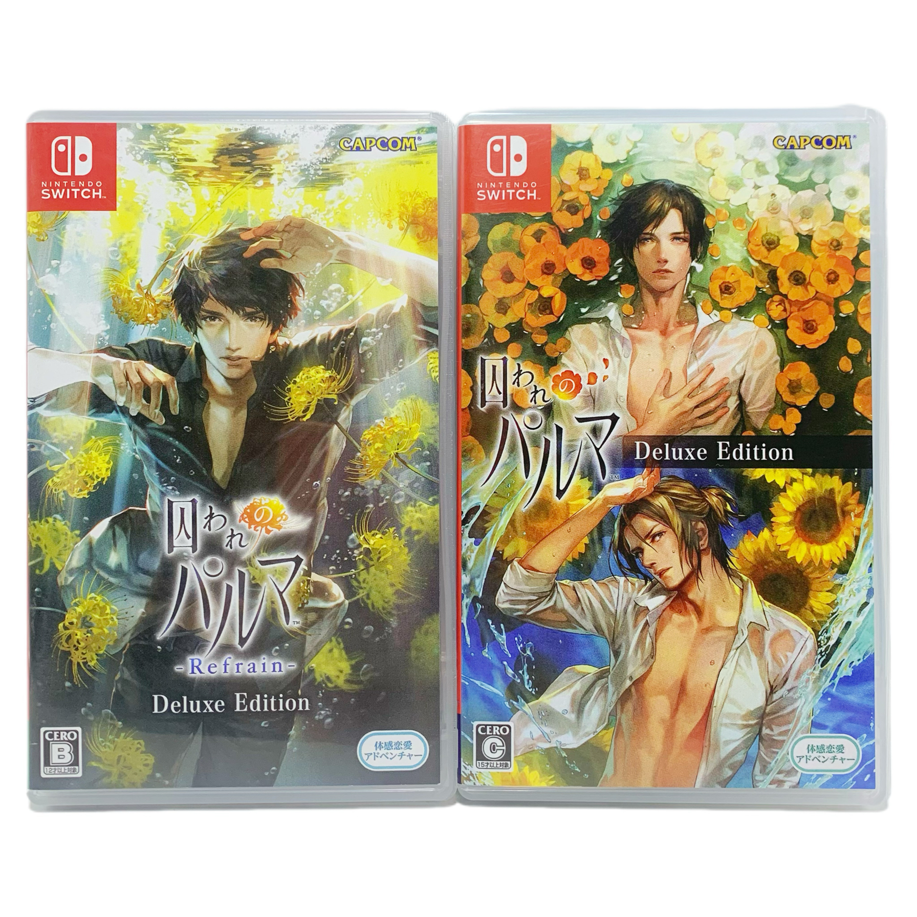 switch ns乙女 被囚禁的掌心 自制包装盒 没有卡带 不能玩游戏
