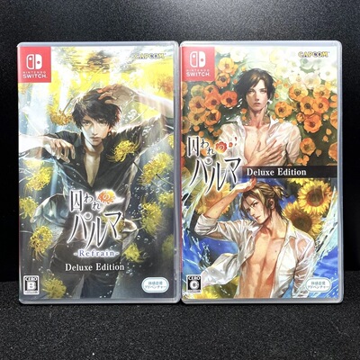 Switch ns国产包装盒 被囚禁的掌心 自印封面 没有卡带 仅空盒