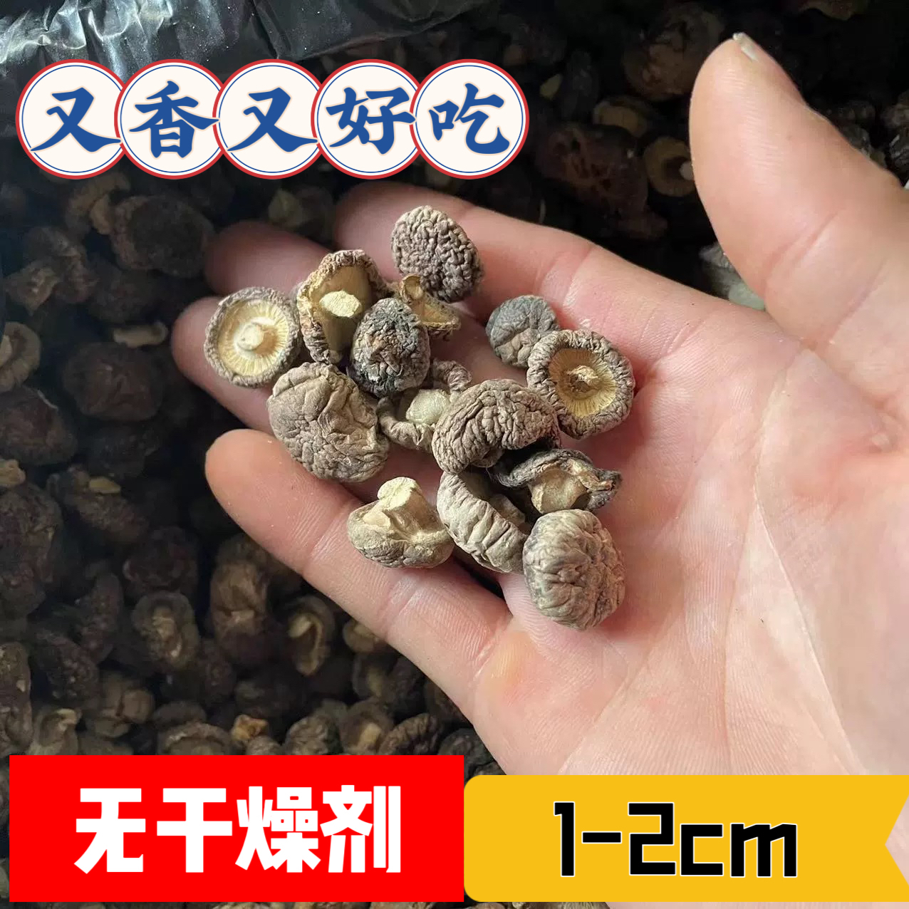 小香菇干货特小金钱菇商用珍珠菇迷你小干香菇净重农家小蘑菇散装