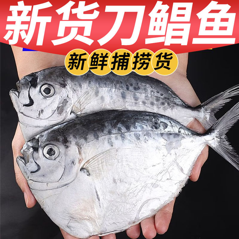 野生刀鲳新鲜冷冻海捕鲳鱼斧头鲜活冷冻海鲜水产海鱼平鱼批发整箱