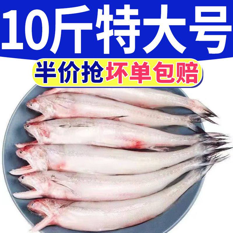 豆腐鱼海鲜大头鱼水龙鱼新鲜九肚淡水鱼类