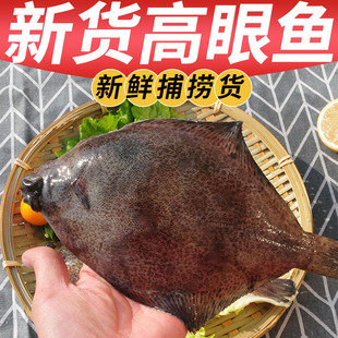 鼓眼鱼新鲜冷冻高眼鱼深海海鱼比目鱼鲜活海鲜水产偏口鱼批发