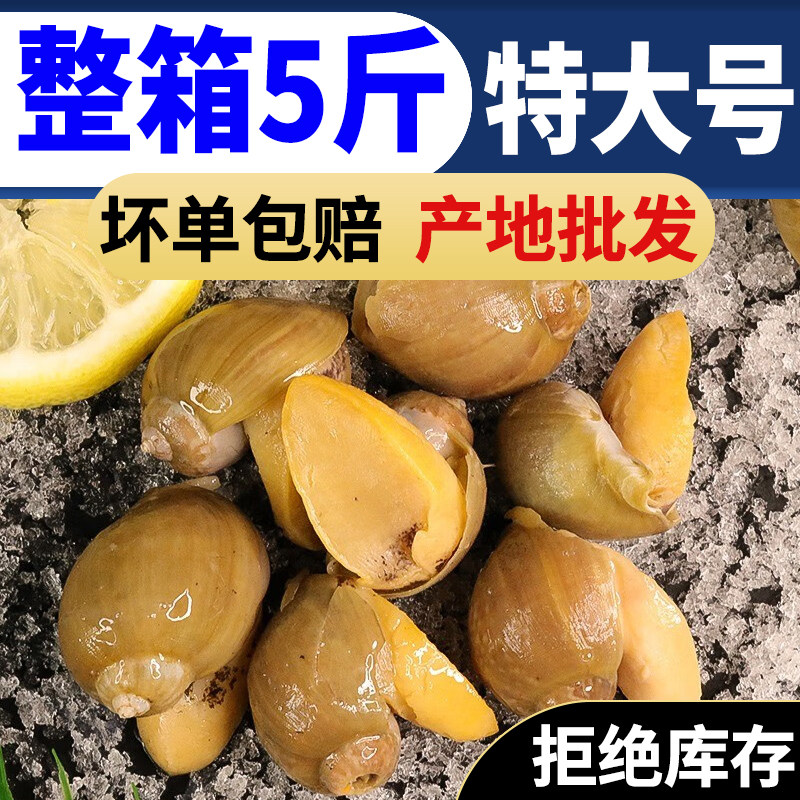 速冻黄金鲍鱼螺老婆脚假鲍鱼黄金鲍珍珠鲍海蜗牛大脚螺鲍螺,水产肉类/新鲜蔬果/熟食,淡水鱼类,淘宝优惠券,粉丝福利购,淘宝优惠卷