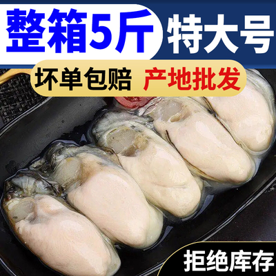 【高品质】新鲜生蚝肉鲜活现剥去壳海鲜即食原浆海蛎子牡蛎肉