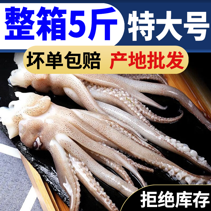 大鱿鱼须新鲜冷冻鱿鱼头冰冻鱿鱼须批发 章鱼足八爪鱼海鲜烧烤串