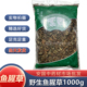 中药材新货干安国批 发 新茶折耳根鱼星草叶1000克 鱼腥草正品 包邮