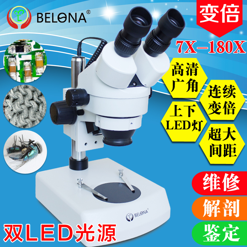贝朗双目体视显微镜连续变倍上下双光源手机维修生物解剖工业检测