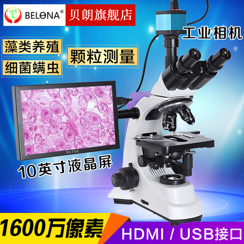 贝朗专业双目显微镜颗粒显示屏