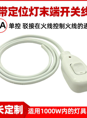 新款带指示灯4A单控末端开关带线吊灯台灯吊扇抽风床头开关延长线