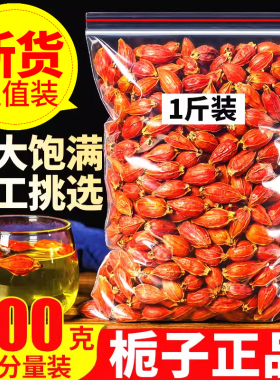 正品栀子500g散装山栀子花茶泡茶红栀子果黄栀子另售菊苣金银花茶