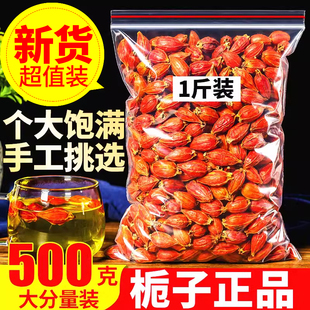 正品 山栀子花茶泡茶红栀子果黄栀子另售菊苣金银花茶 栀子500g散装