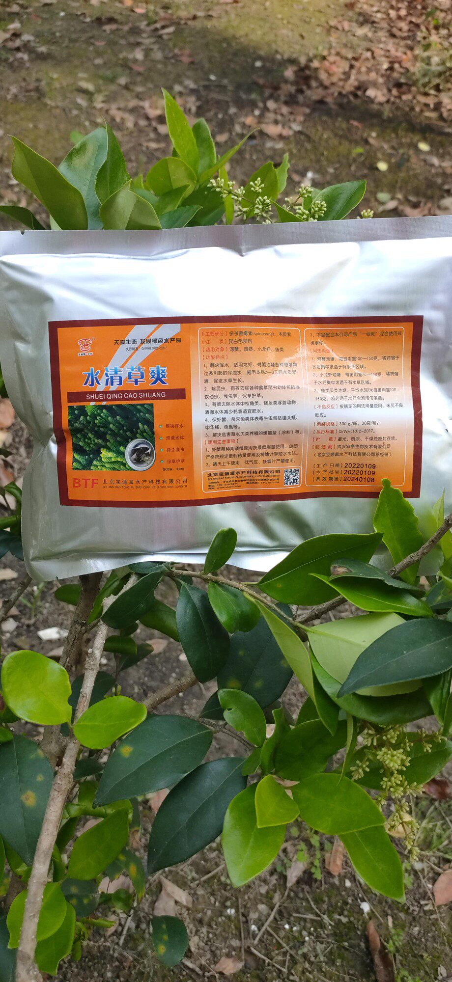 水清草爽杀灭枝角虫锚头蚤草虫一次净螃蟹龙虾鱼塘安全多杀菌霉素