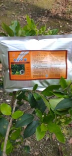 水清草爽杀灭枝角虫锚头蚤草虫一次净螃蟹龙虾鱼塘安全多杀菌霉素