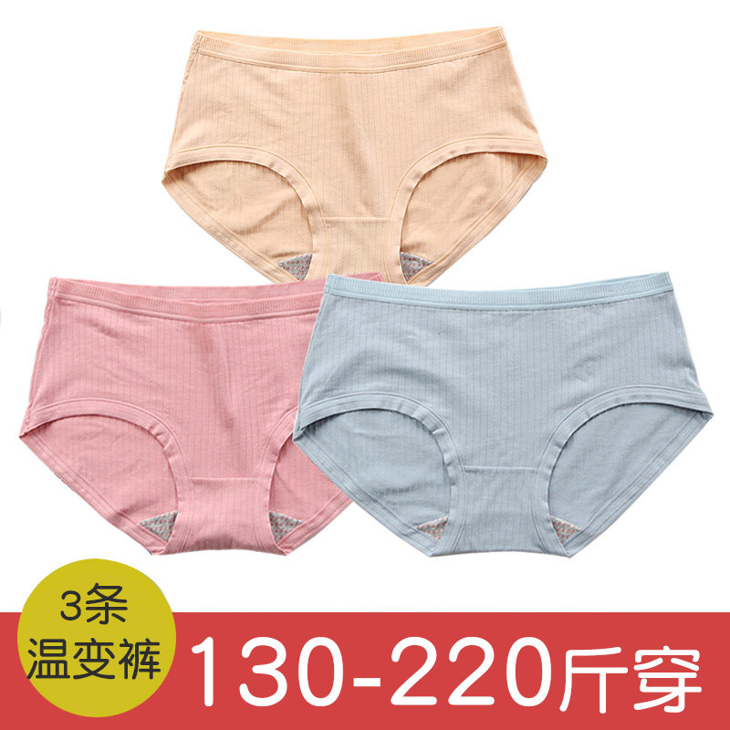 3条装女士温变女内裤胖mm200