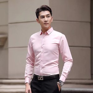 2025春夏季大码纯色长袖衬衫男商务修身时尚免烫衬衣男cs615-P13图片