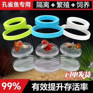 孵化盒孔雀鱼鱼缸繁殖盒隔离盒孵化产卵器悬浮式小型鱼苗鱼卵产房