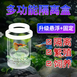 孵化盒孔雀鱼鱼缸繁殖盒隔离盒孵化产卵器悬浮式小型鱼苗鱼卵产房