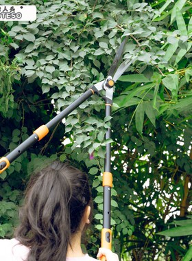 老人头KOTESO园艺大剪刀园林花剪修花修枝剪花木剪草修草坪绿篱剪