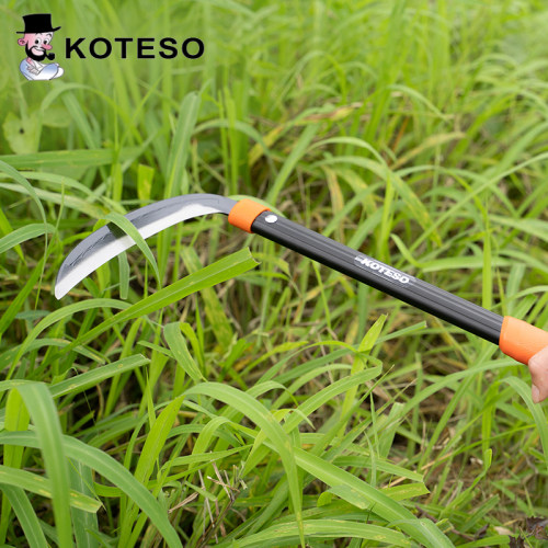 koteso开拓者原装镰刀收割小麦