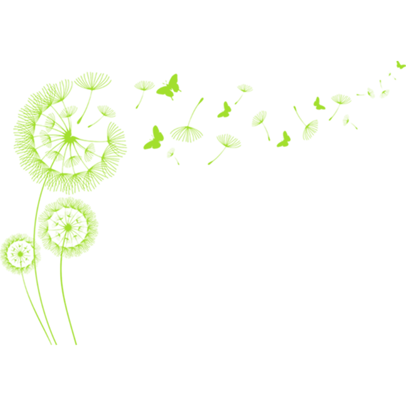 商户店铺玻璃贴纸移门蒲公英装饰