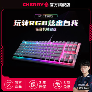 CHERRY樱桃MX1.1黑曜极光雪原极光RGB电竞游戏键盘87键有线红轴