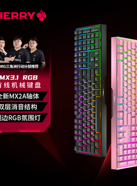 Cherry樱桃MX3.1有线RGB机械键盘铝坨坨游戏电竞108键兼容Win/Mac