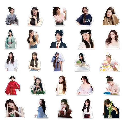 贴纸电脑笔记本创意旅行滑板车装饰防水行李箱明星张赵露思50