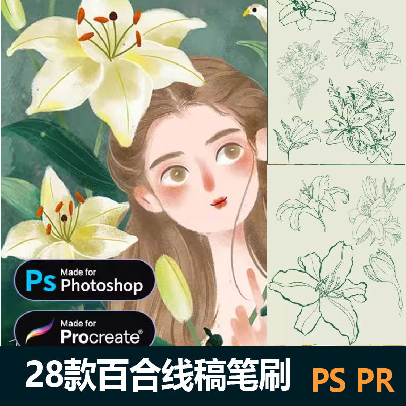 百合花ps笔刷procreate笔刷鲜花植物线稿花卉花朵图案手绘素材线