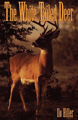 【预售】The White-Tailed Deer