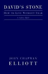 【预售】David's Stone - How to Live Without Fear