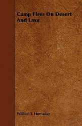 Fires Camp Desert Lava and 预售