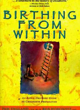【预订】Birthing from Within: An Extra-Ordinary Guide to