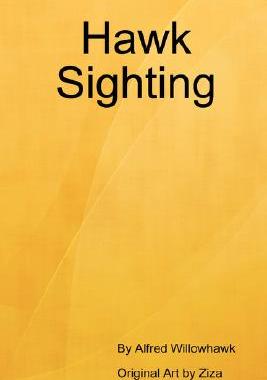 【预售】Hawk Sighting